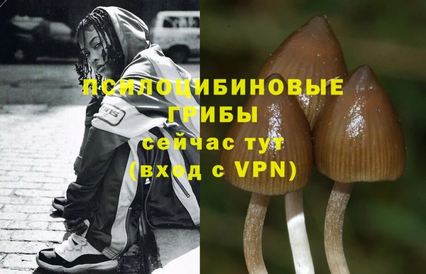 apvp Горно-Алтайск