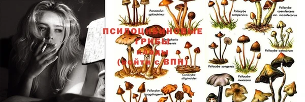 гидропоника Вязники