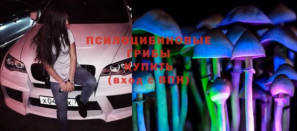 apvp Горно-Алтайск